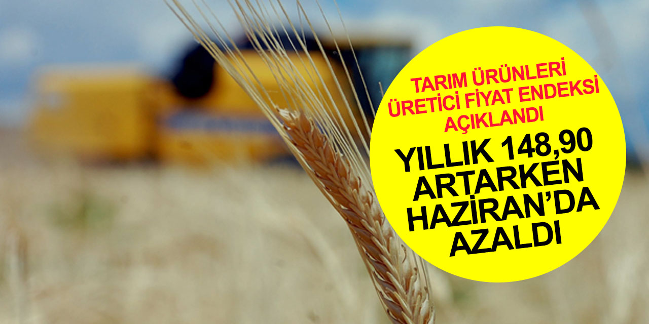 TÜİK Tarım ÜFE verilerini açıkladı! Yıllık yüzde 148,90 arttı, Haziran'da azaldı