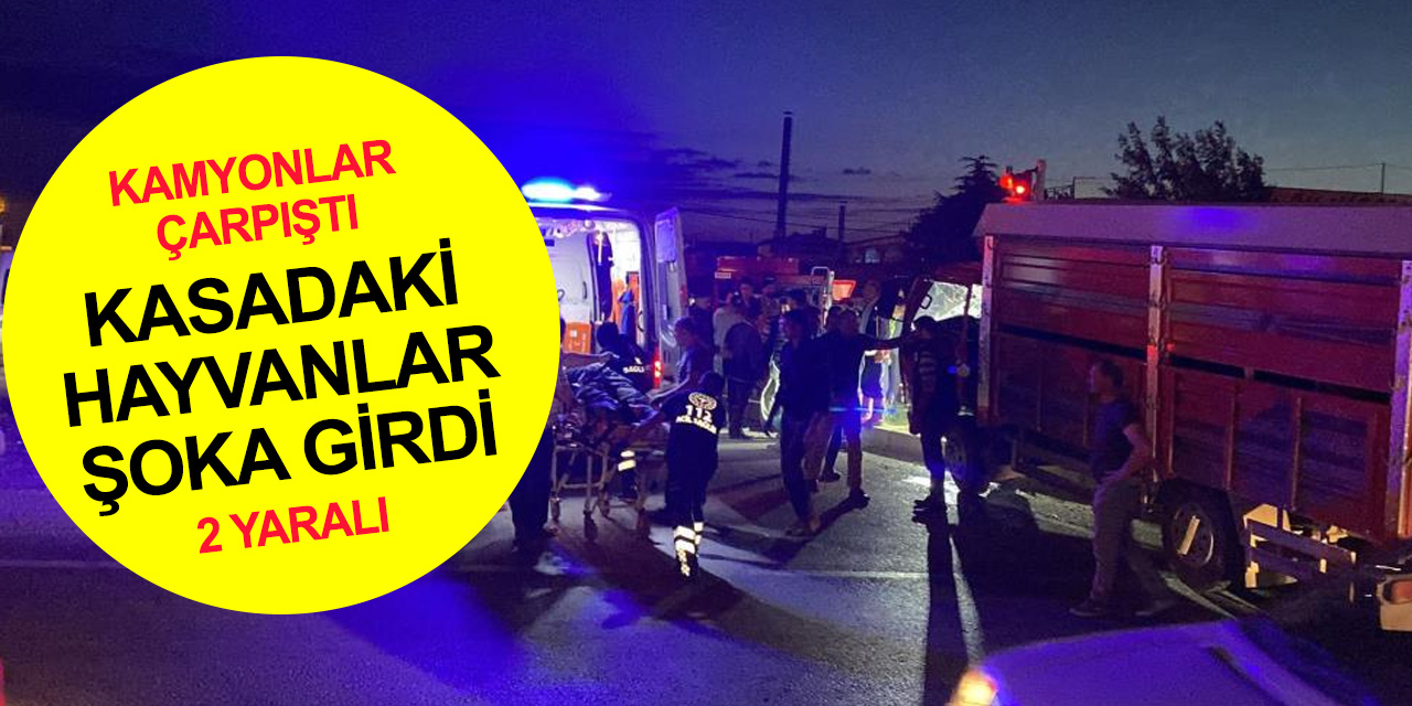 Afyon'da biri büyükbaş hayvan taşıyan iki kamyon çarpıştı! 2 yaralı