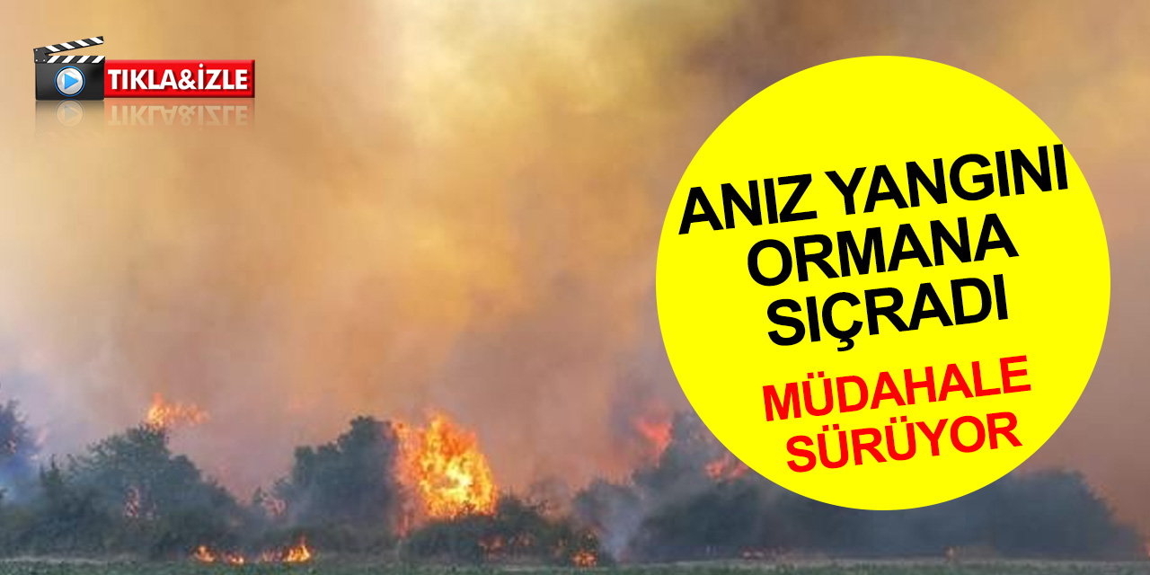 Manisa Gördes'te orman yangını! Havadan ve karadan çok sayıda ekip müdahale ediyor