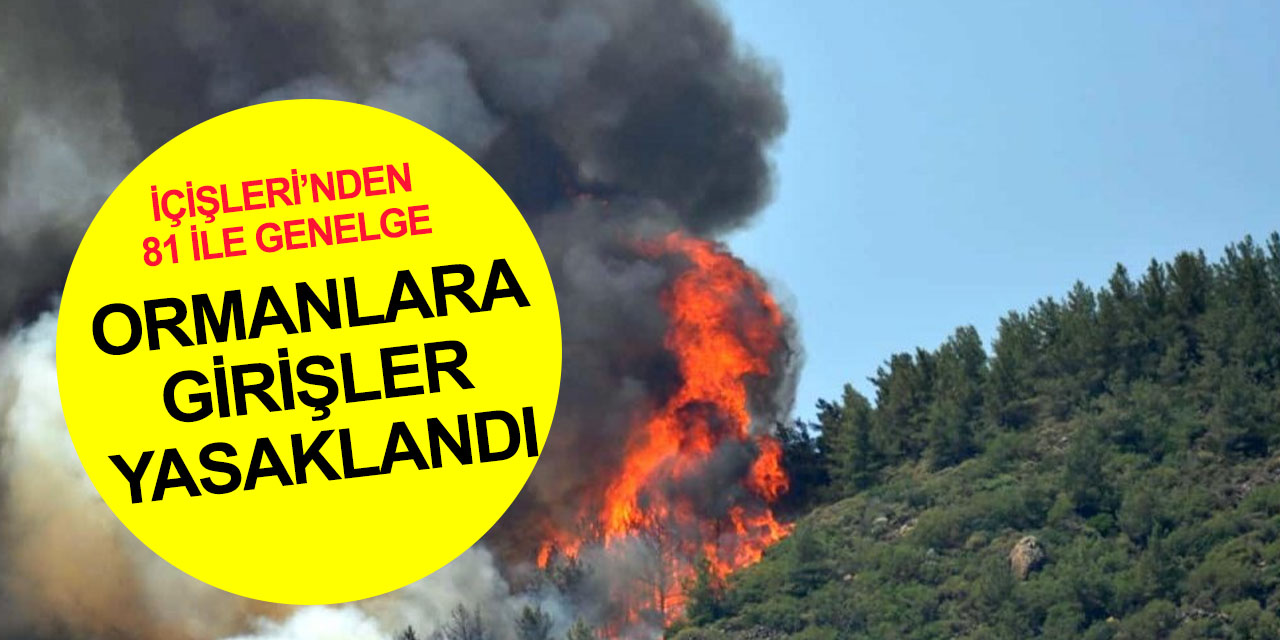 AFAD'dan orman yangınlarına karşı alınacak tedbirler genelgesi! Konya dahil 81 ilde girişler yasaklandı