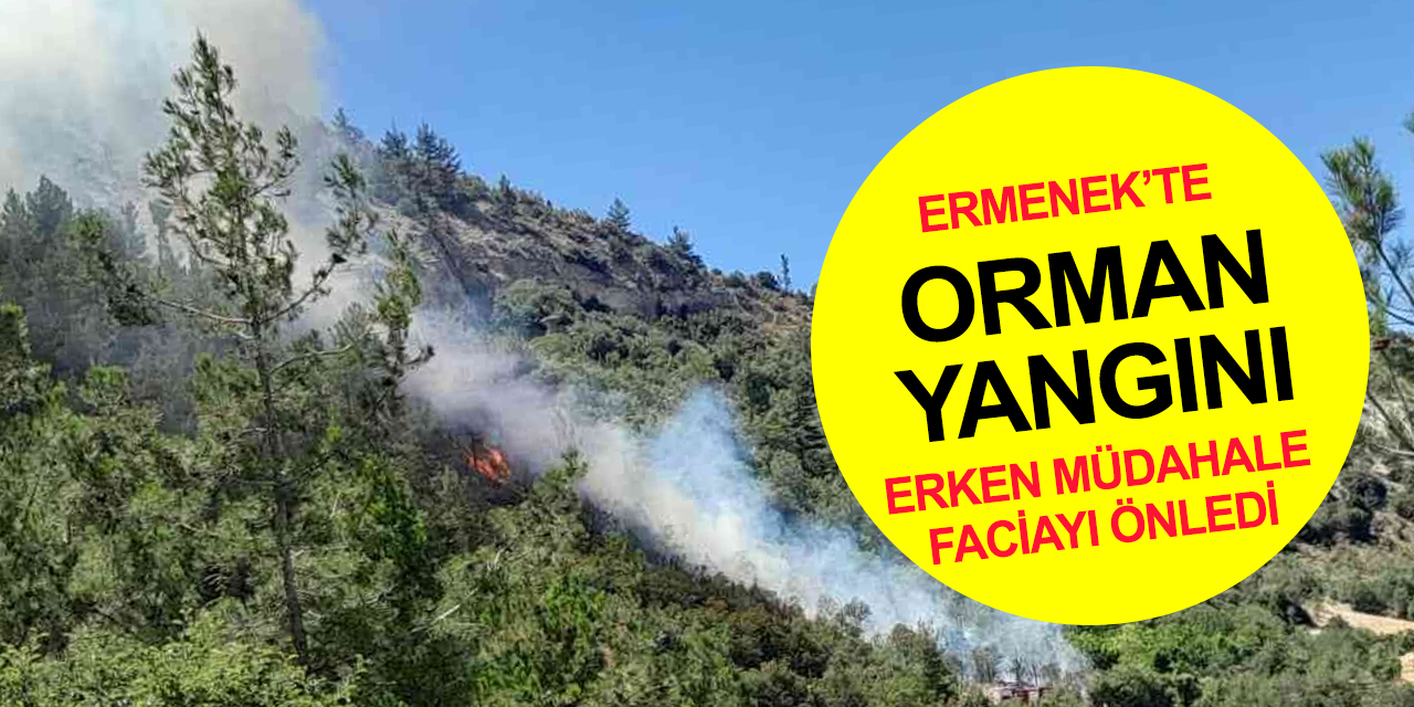 Ermenek'te orman yangını! Köylülerin dikkati faciayı önledi