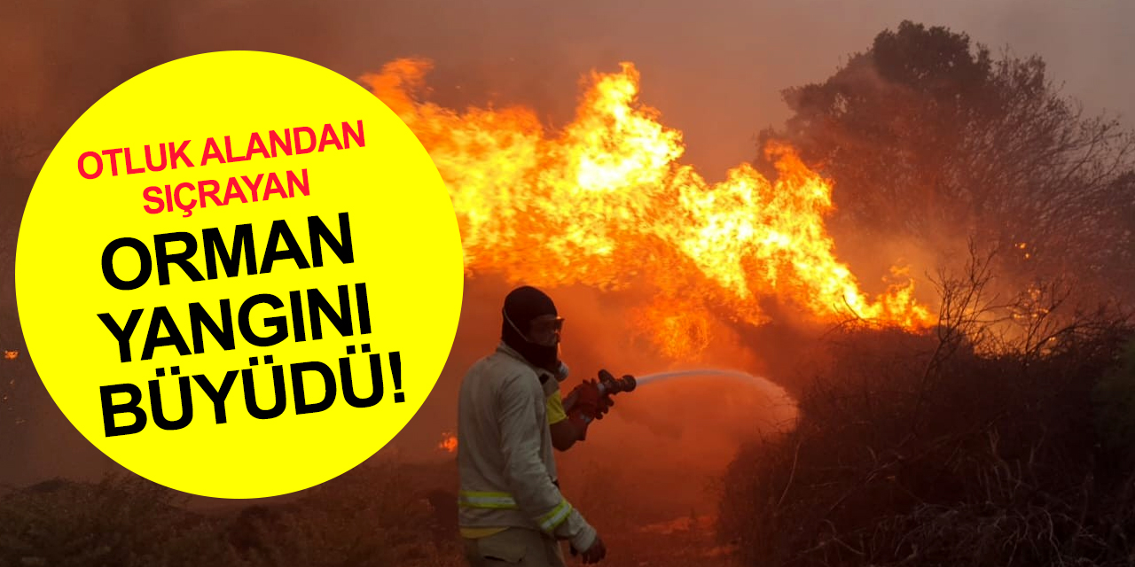 Manisa’da orman yangını! Ekipler seferber oldu 20 ev boşaltıldı, 40 kişi tahliye edildi