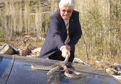 Su deposunda yılan paniği