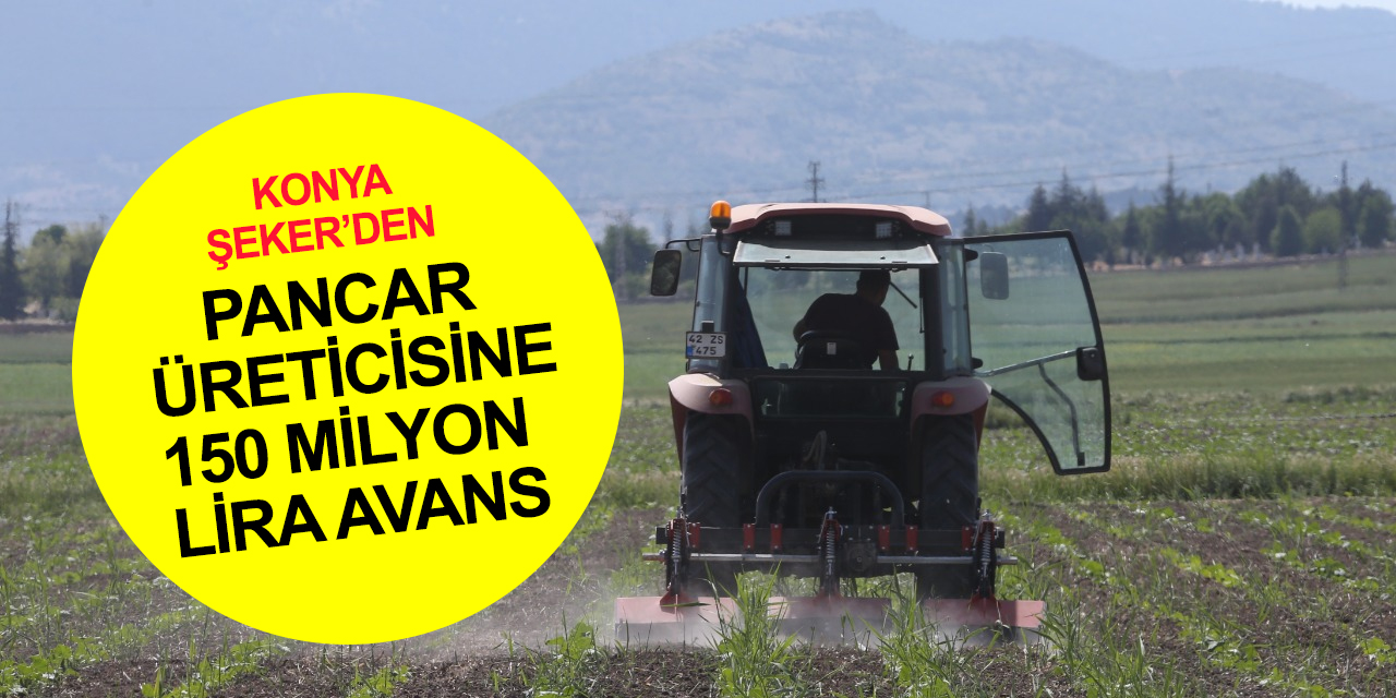 Konya Şeker’den pancar üreticisine  iyi haber! 150 milyon 47 bin lira avans ödemesi yarın hesaplarda