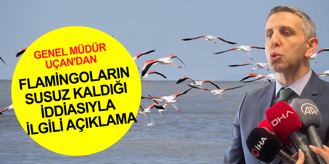 Genel Müdür Uçan’dan flamingolarla ilgili iddialara cevap! Konya'dan gelen temiz su için uyarılarımızı yaptık