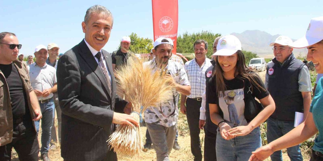 Karaman ovasında son buğday hasadını Vali Akkoyun yaptı