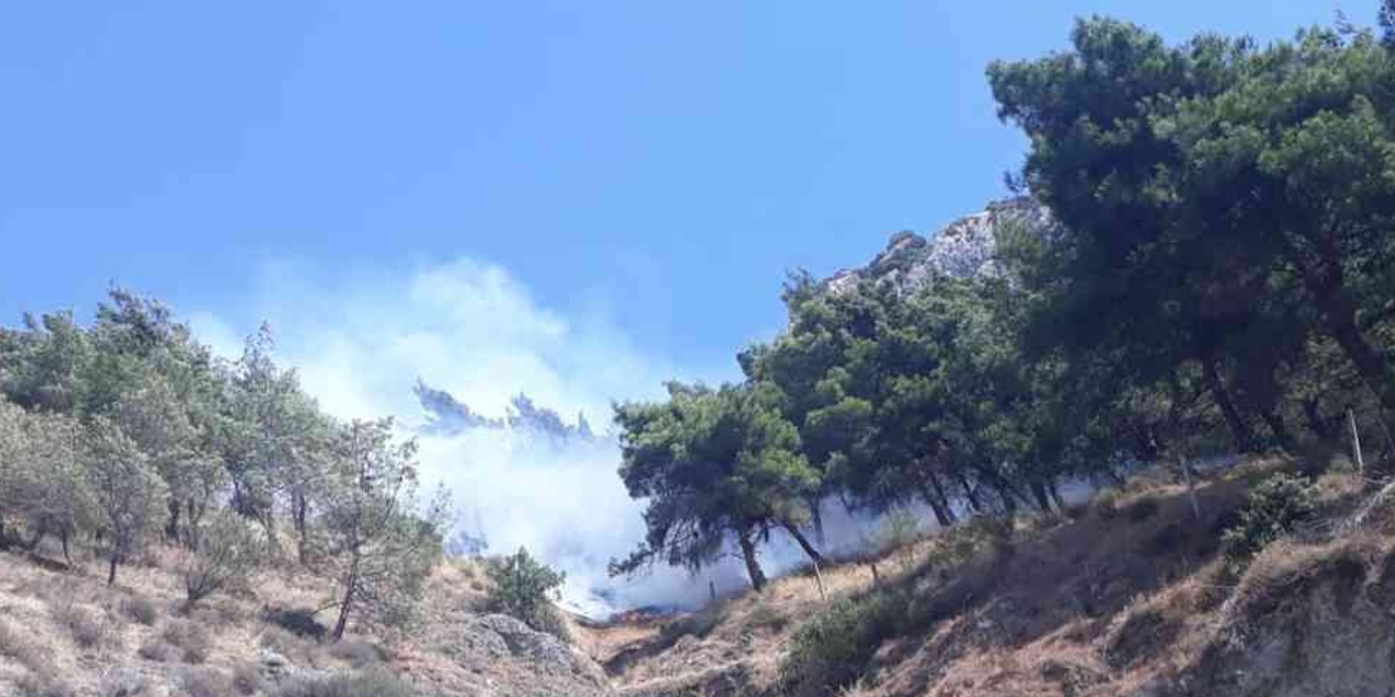 Antakya'da orman yangını! Müdahale sürüyor