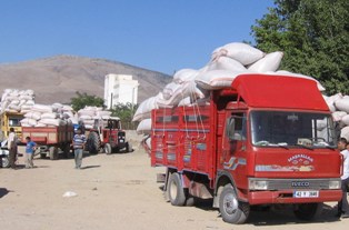 Bin 365 ton tohumluk haşhaş alımı yapıldı