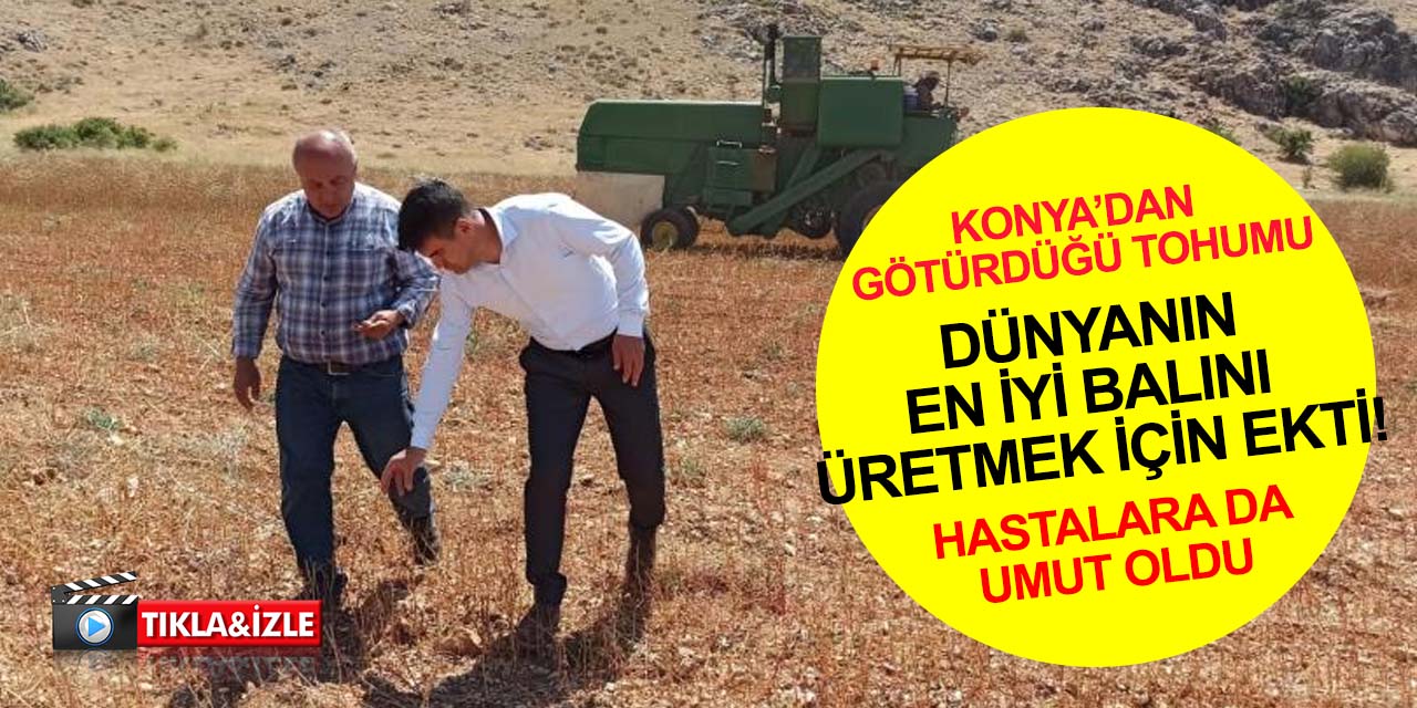 Konya'dan götürdüğü tohumla çölyak hastalarına umut oldu!