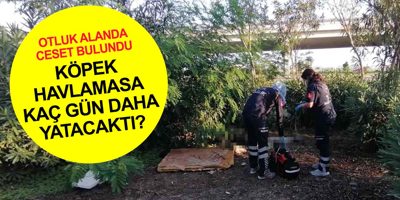 Manavgat'da yeşil alanda 3 günlük ceset bulundu