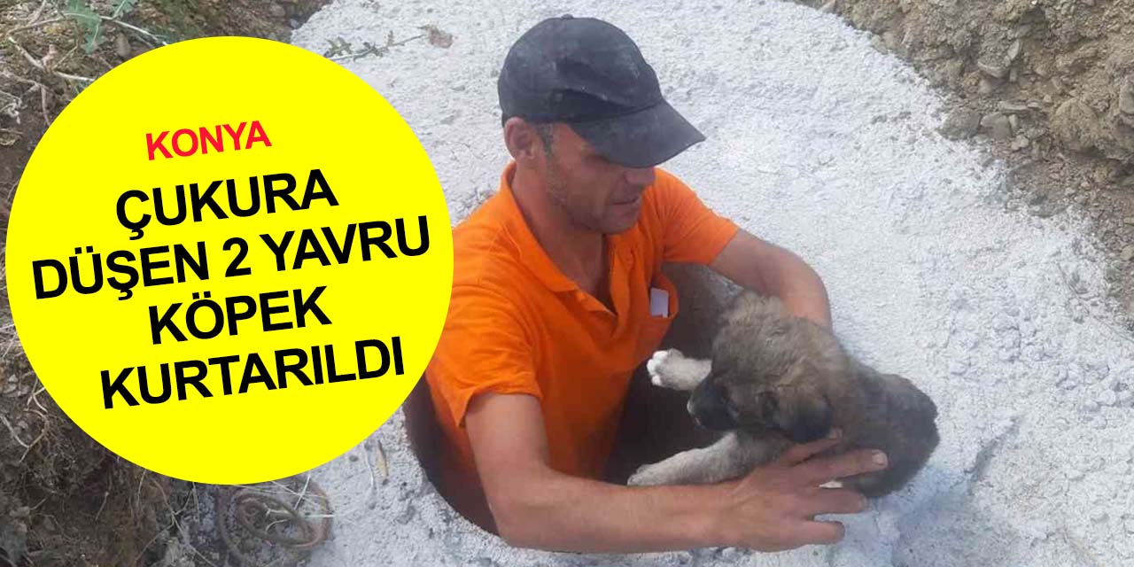 Konya'da köpek kurtarma operasyonu! Bir buçuk metrelik çukura düşen 2 yavru kurtarıldı