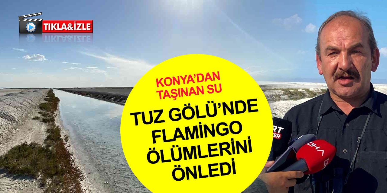 Konya'dan taşınan sular Tuz Gölü’nde flamingo ölümlerini önledi! Yavru allı turna sayısı 10 bini buldu