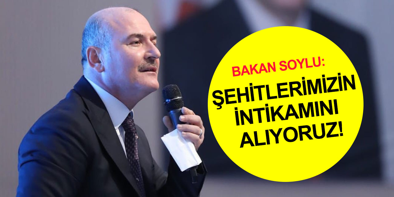 Bakan Soylu: 2023'te Cumhuriyetin ikinci asrına başlarken Gabar bölgesini tertemiz yapacağız