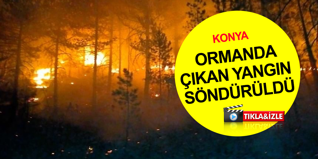 Konya’da orman yangını ihbarı ekipleri harekete geçirdi! Çıkış nedeni araştırılıyor