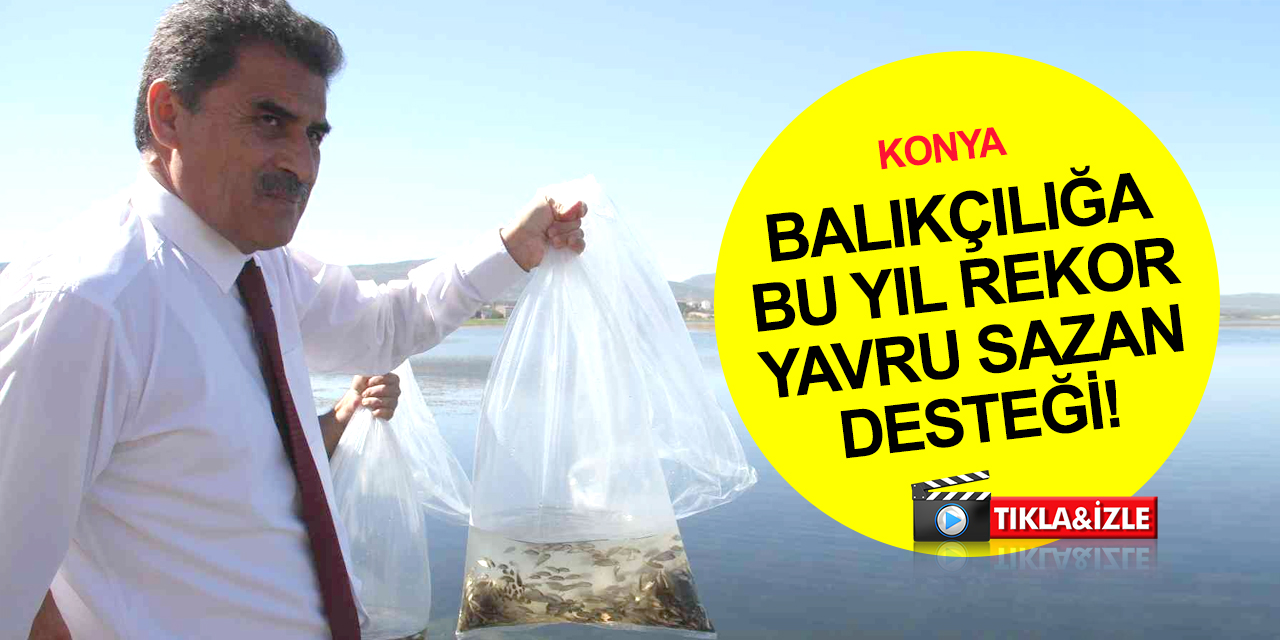 Konya’da balıklandırma çalışmaları! 65 göl ve gölete 3 milyona yakın yavru sazan balığı bırakılıyor