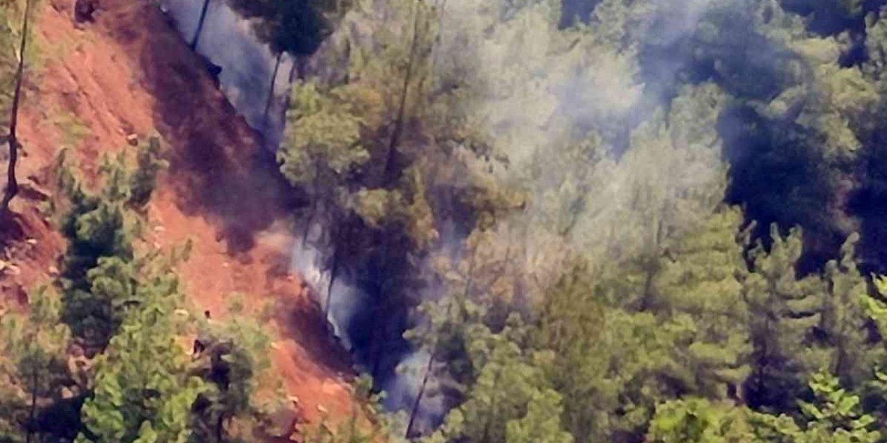 Hatay’da orman yangını! Hava ve karadan müdahale devam ediyor