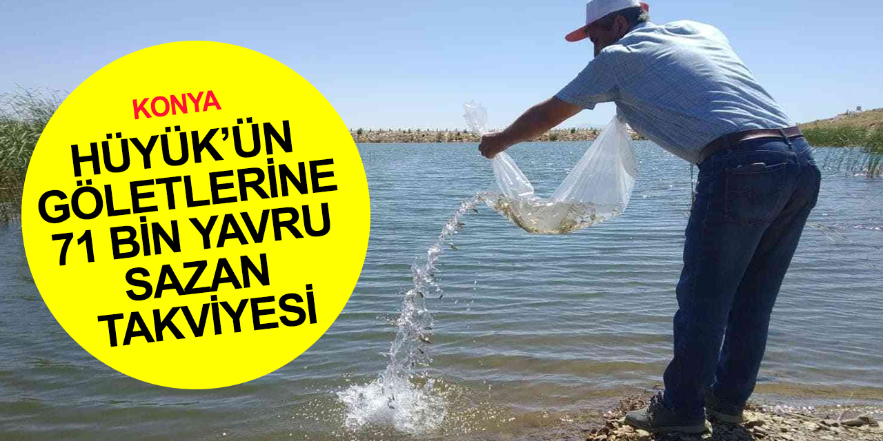 Konya haber! Hüyük’te göletlere 71 bin yavru sazan bırakıldı