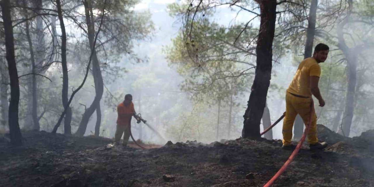 Antalya’daki orman yangını söndürüldü! Çıkış sebebi araştırılıyor