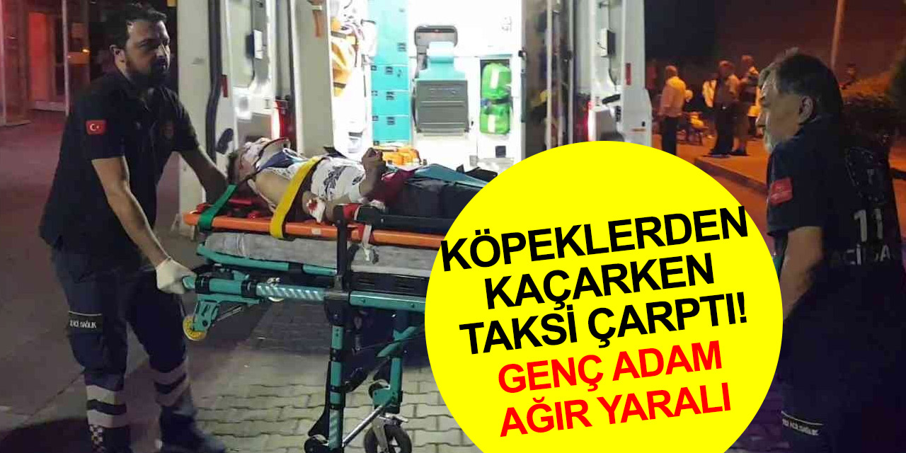 Başıboş köpeklerden kaçarken taksinin çarptığı Feyzullah Tuncer ağır yaralandı