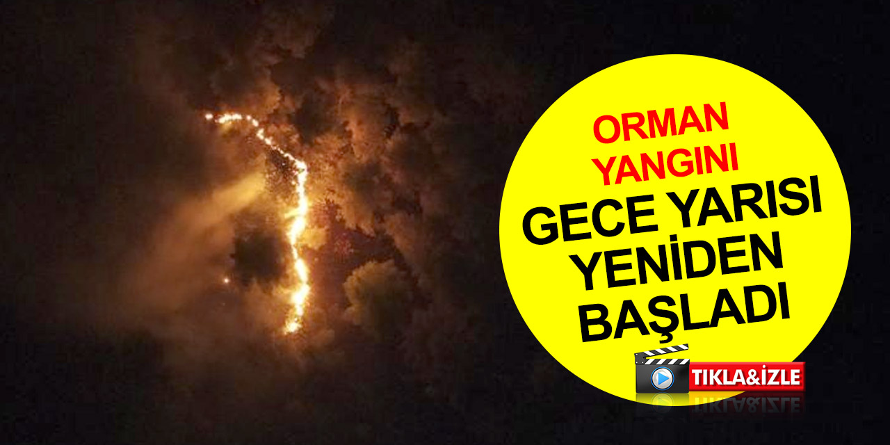 Adıyaman’da gündüz söndürülen orman yangını gece yeniden başladı!