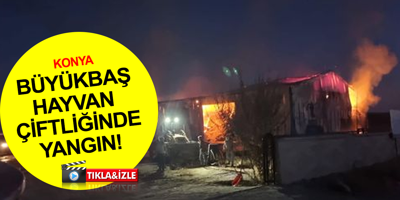 Konya'da büyükbaş hayvan çiftliğinde yangın! Zarar büyük