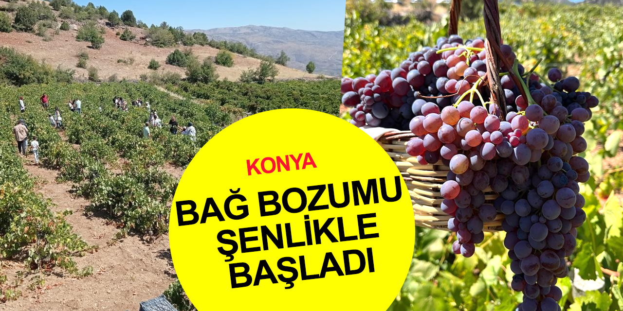 Konya Hadim’de bağ bozumu şenlikle başladı!
