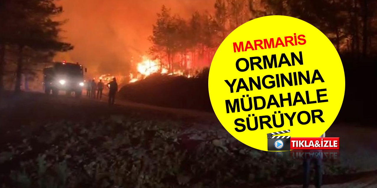 Marmaris’teki orman yangınına binin üzerinde personel karadan müdahale ediyor