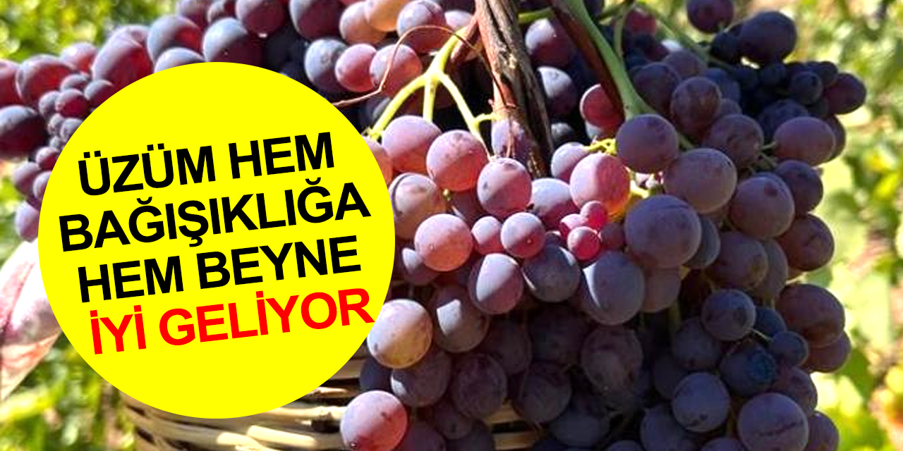 Üzümü mevsiminde sık tüketmek sağlam bağışıklık ve daha dinç zihin için önemli
