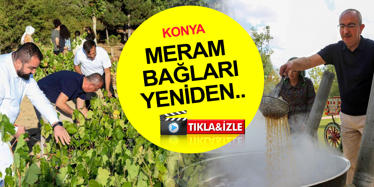 Konya’da Evliya Çelebi'nin övgüyle söz ettiği Meram Bağları yeniden canlandırıldı