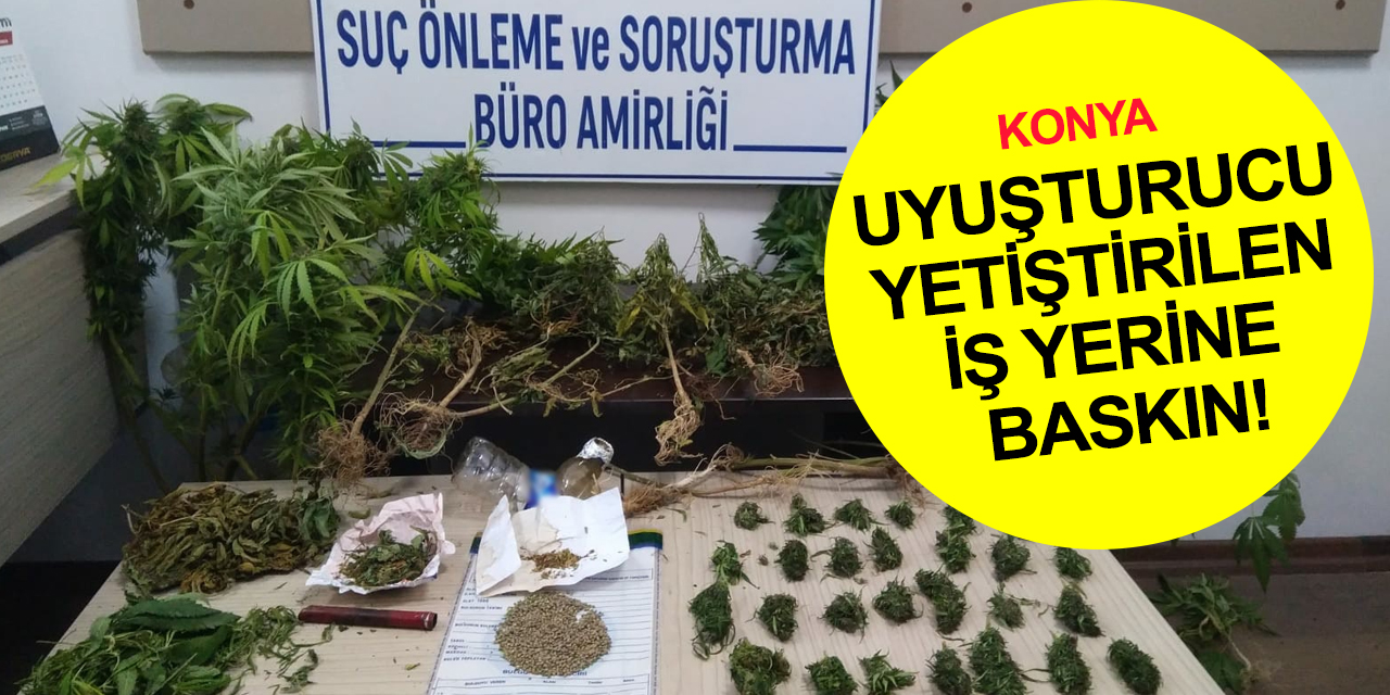Konya'da uyuşturucu yetiştirilen iş yerine baskın! 1 tutuklama
