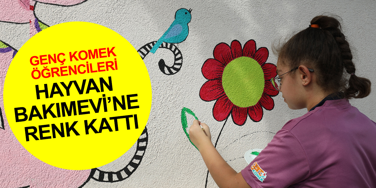 Genç KOMEK Öğrencileri Konya Büyükşehir Hayvan Bakımevi’ne renk kattı