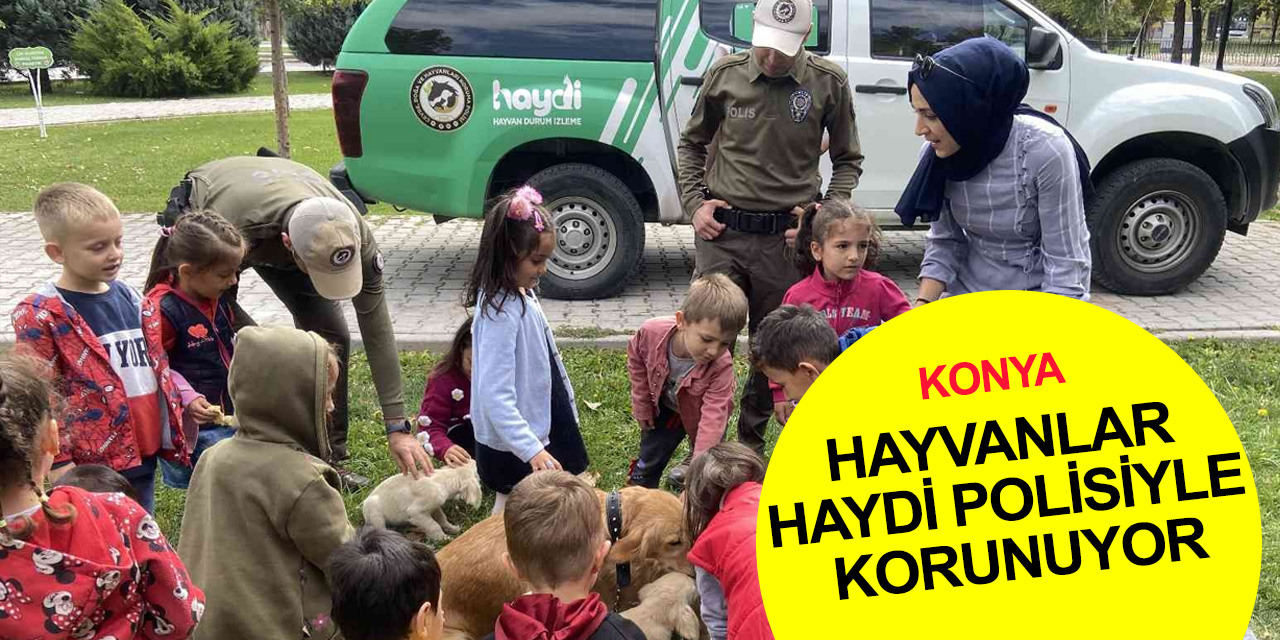 Konya'da hayvanlar HAYDİ polisleriyle koruma altında! En çok ihbar yasaklı ırk besleme konusunda