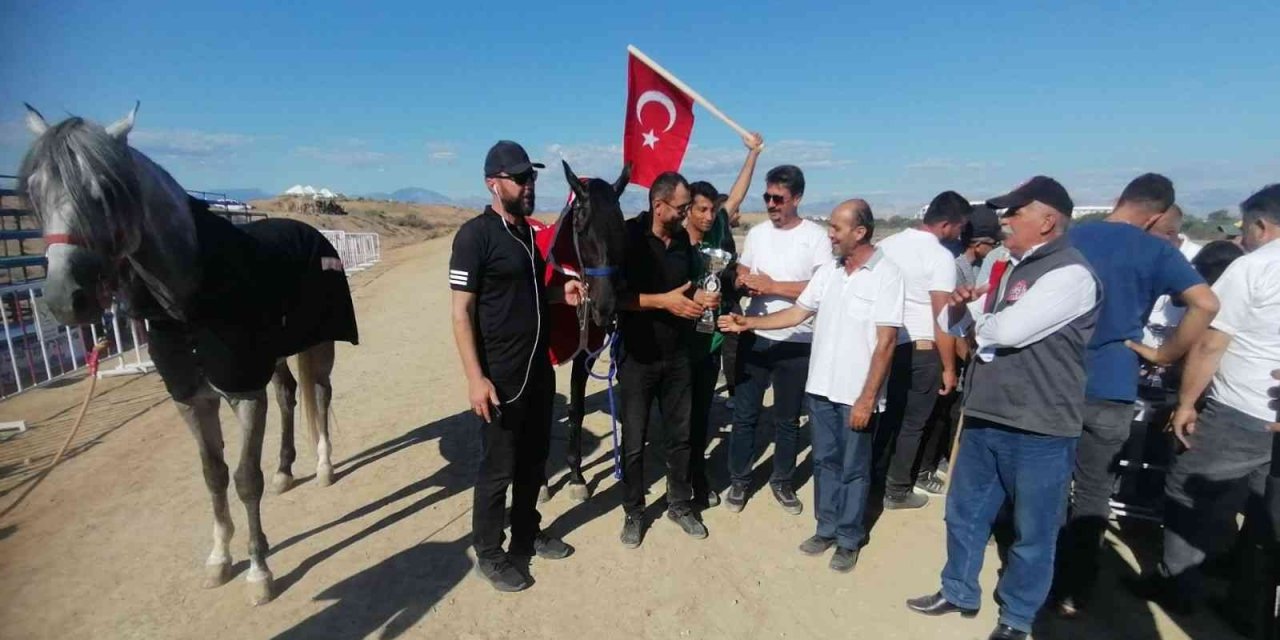 Rahvan atları yarıştı! Konya'dan Mehmet Kavun başaltında birinci oldu