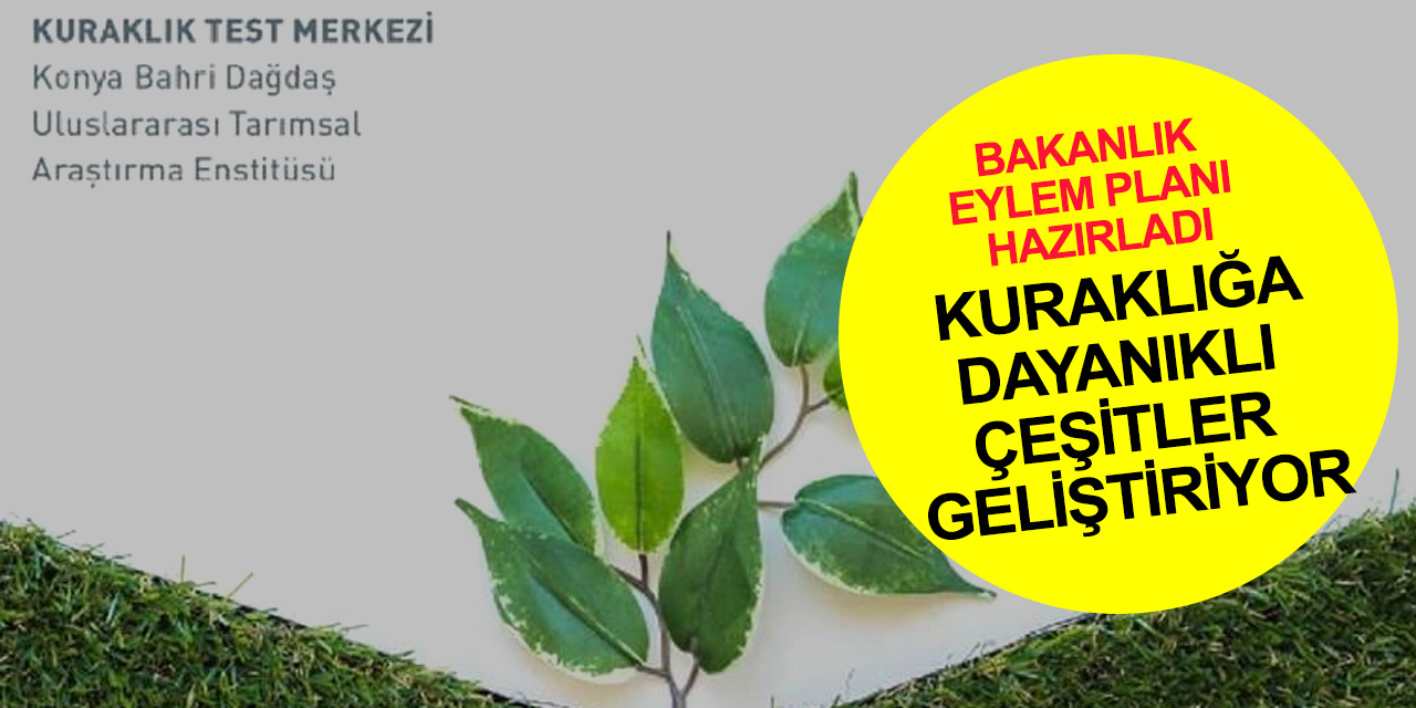 Bakanlıktan kuraklık için eylem planı! Konya Bahri Dağdaş Tarımsal Araştırma Enstitüsü'nden örnek uygulamalar