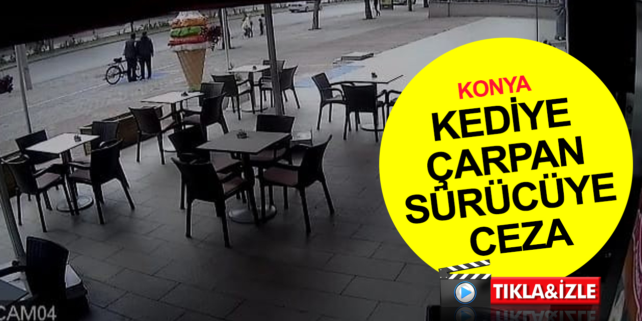 Konya’da kediye çarpıp yoluna devam eden sürücü yakalandı! Cezası ne oldu? Emniyetten sürücülere uyarı!