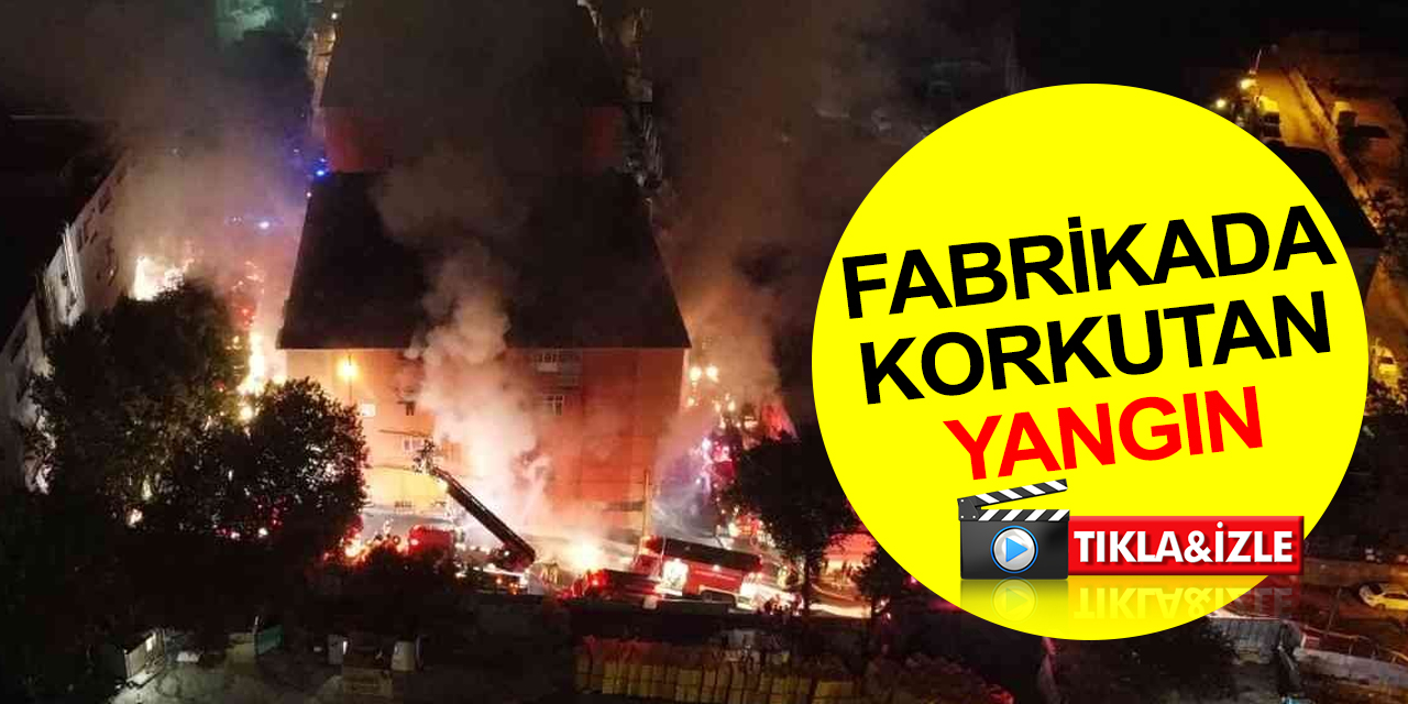 Karton bardak fabrikasında yangın! Alevler 5 katlı binayı sardı