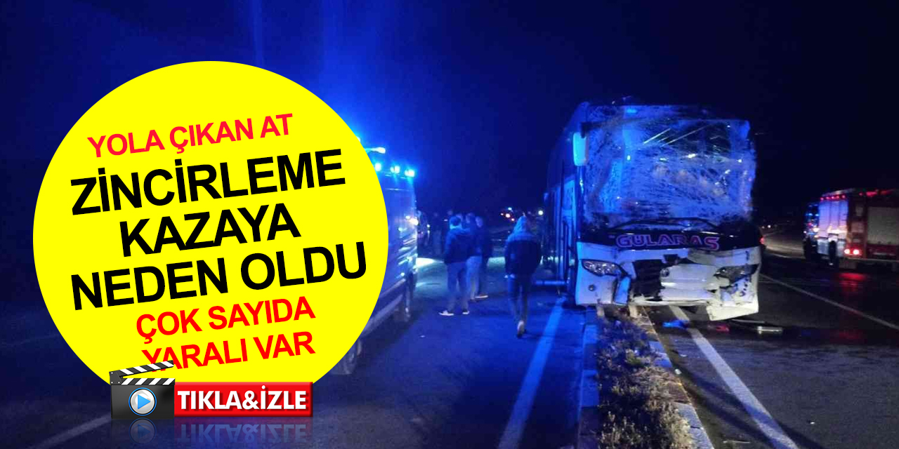 Sivas'ta yola çıkan at zincirleme kazaya neden oldu! Otomobil ve iki otobüs çarpıştı! Çok sayıda yaralı var