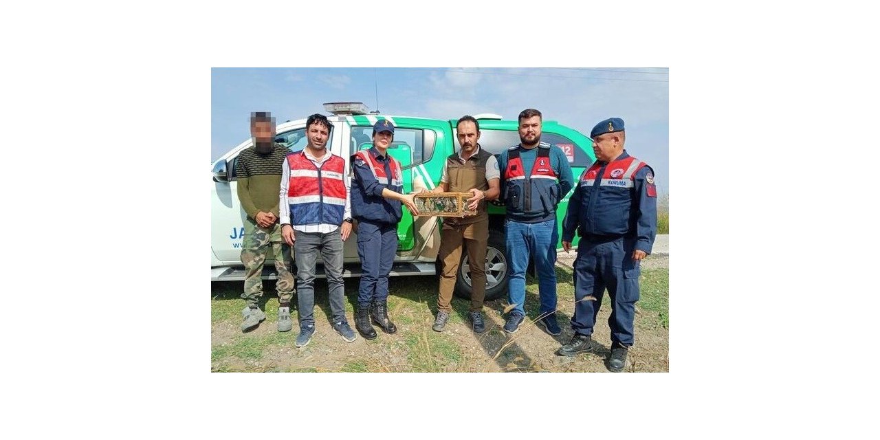 Ağ düzeneğiyle saka kuşu avlayan şahsa 29 bin 627 lira ceza kesildi