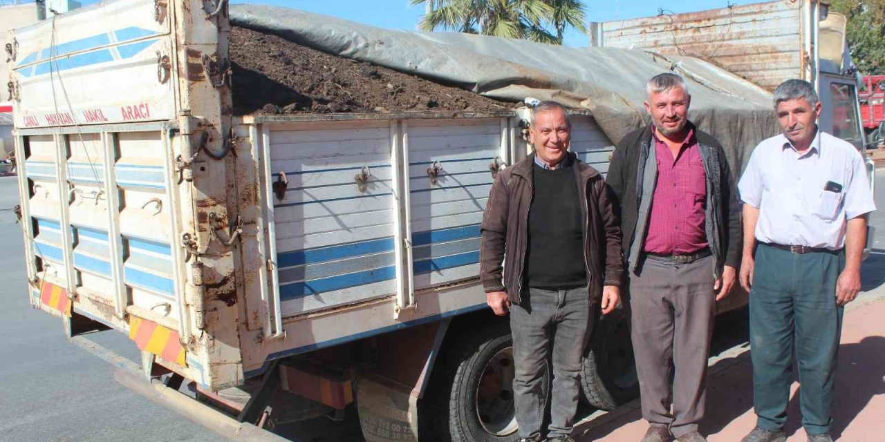 Üzüm bağlarına doğal gübre