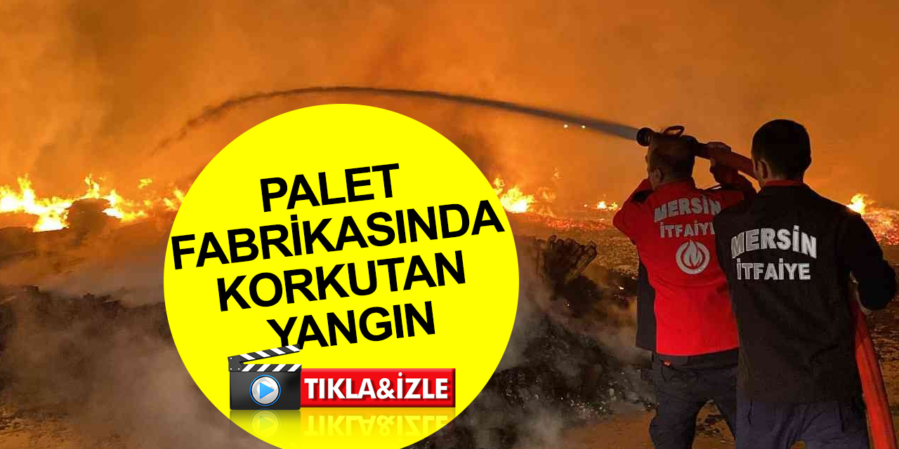Palet fabrikasındaki dev yangın saatler sonra kontrol altına alındı