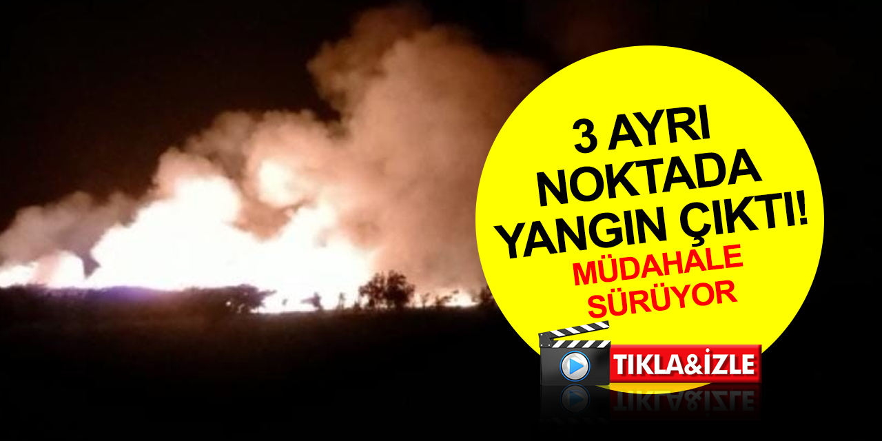 Hatay’da 3 ayrı noktada sazlık yangını! Müdahale sürüyor