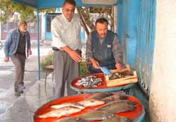 Hamsi, tatlısu balıklarını geçti