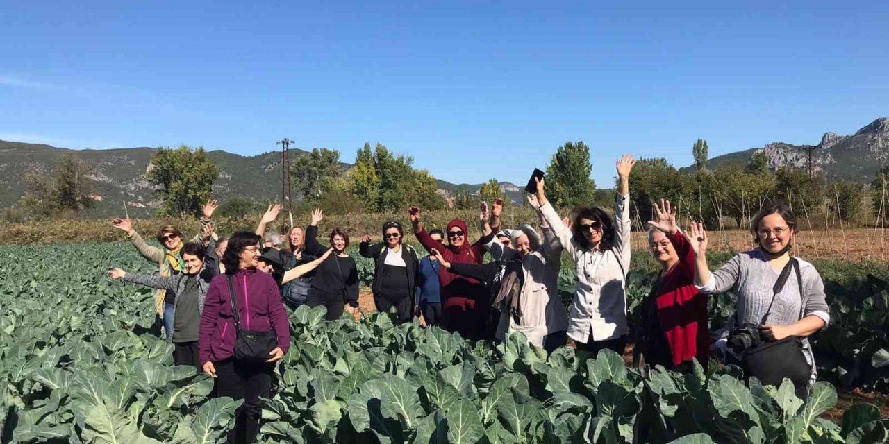 Bilecik’te bu yıl ayva hasadının 7 bin ton olması bekleniyor