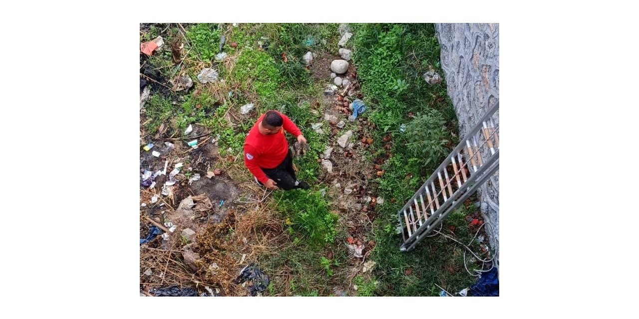 Derede mahsur kalan yavru kediyi itfaiye kurtardı