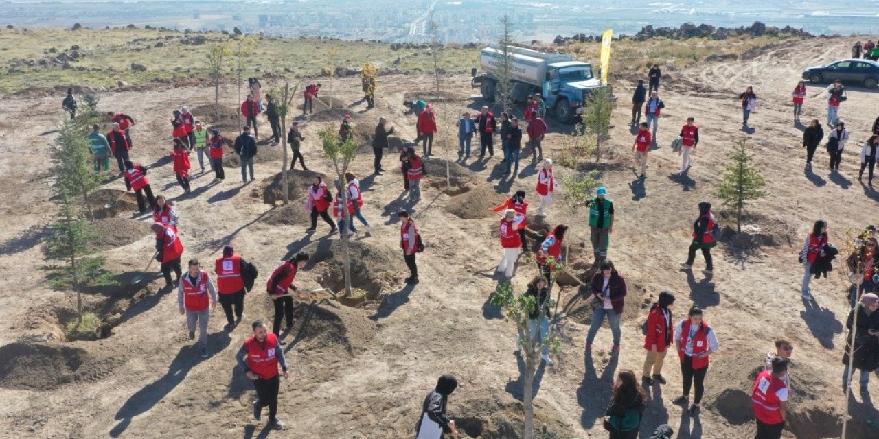 Kocasinan Belediyesi, Kızılay Haftası’nı ağaçlarla taçlandırdı