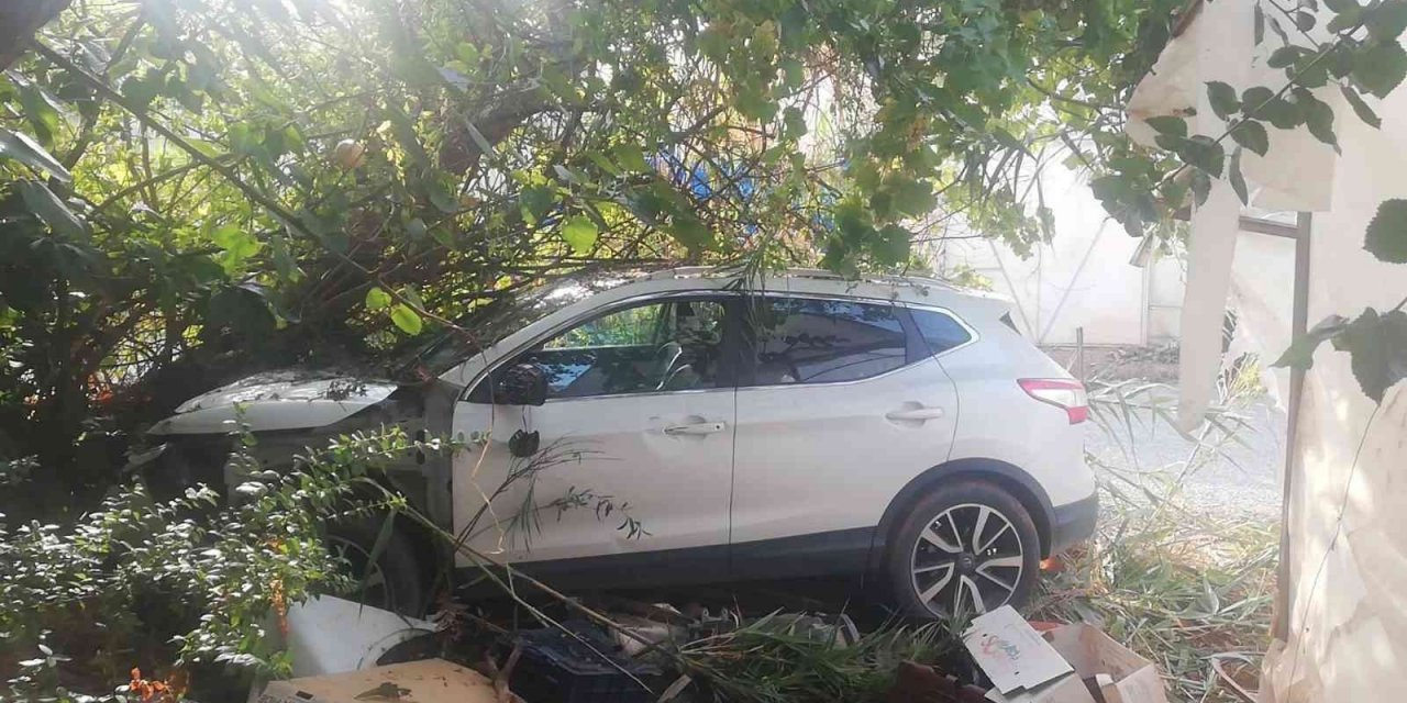 Ağaca çarpan otomobilin sürücüsü yaralandı