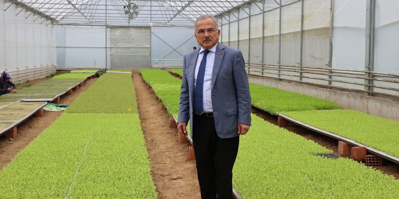 Ordu’nun fide üretim merkezi