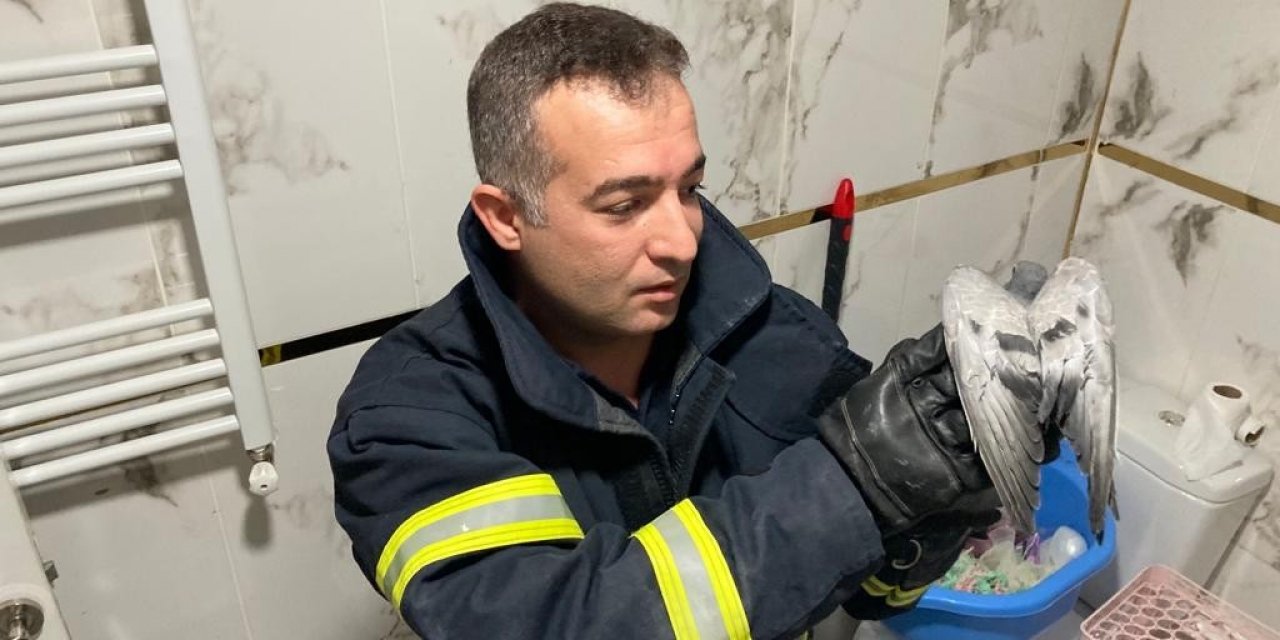 Havalandırma boşluğuna düşen güvercin kurtarıldı