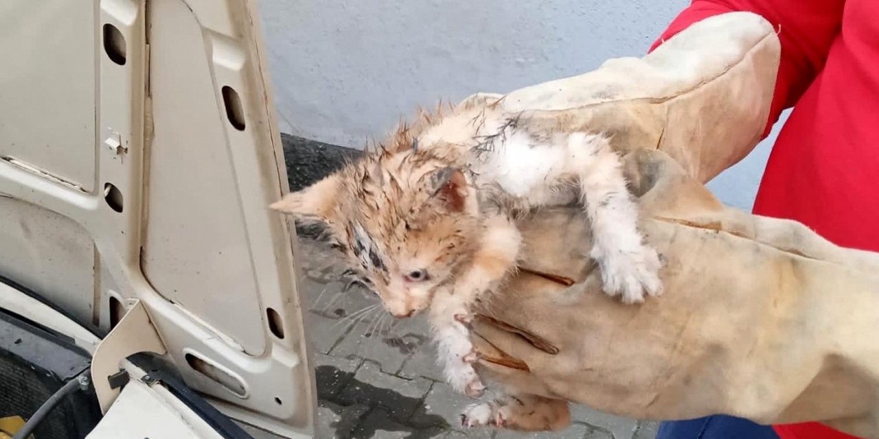 Otomobilin motor bölümünde sıkışan kedi yavrusunu itfaiye kurtardı