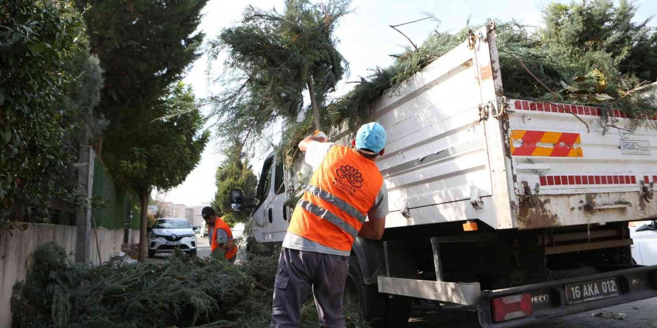 Nilüfer’de bahçe ve budama atıkları kompost oluyor